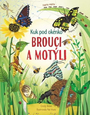 Kuk pod okénko - Brouci a motýli