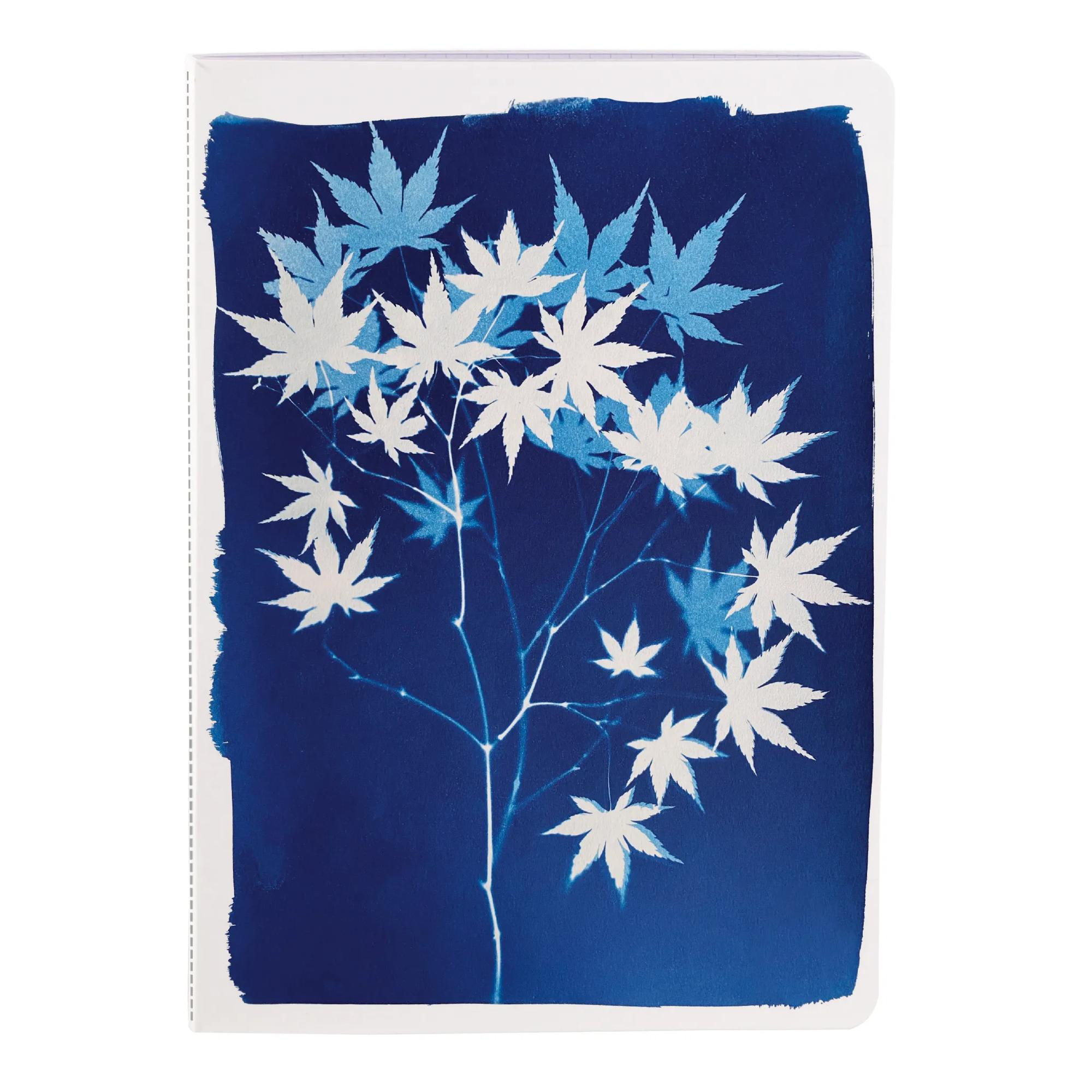 Sešit Cyanotype