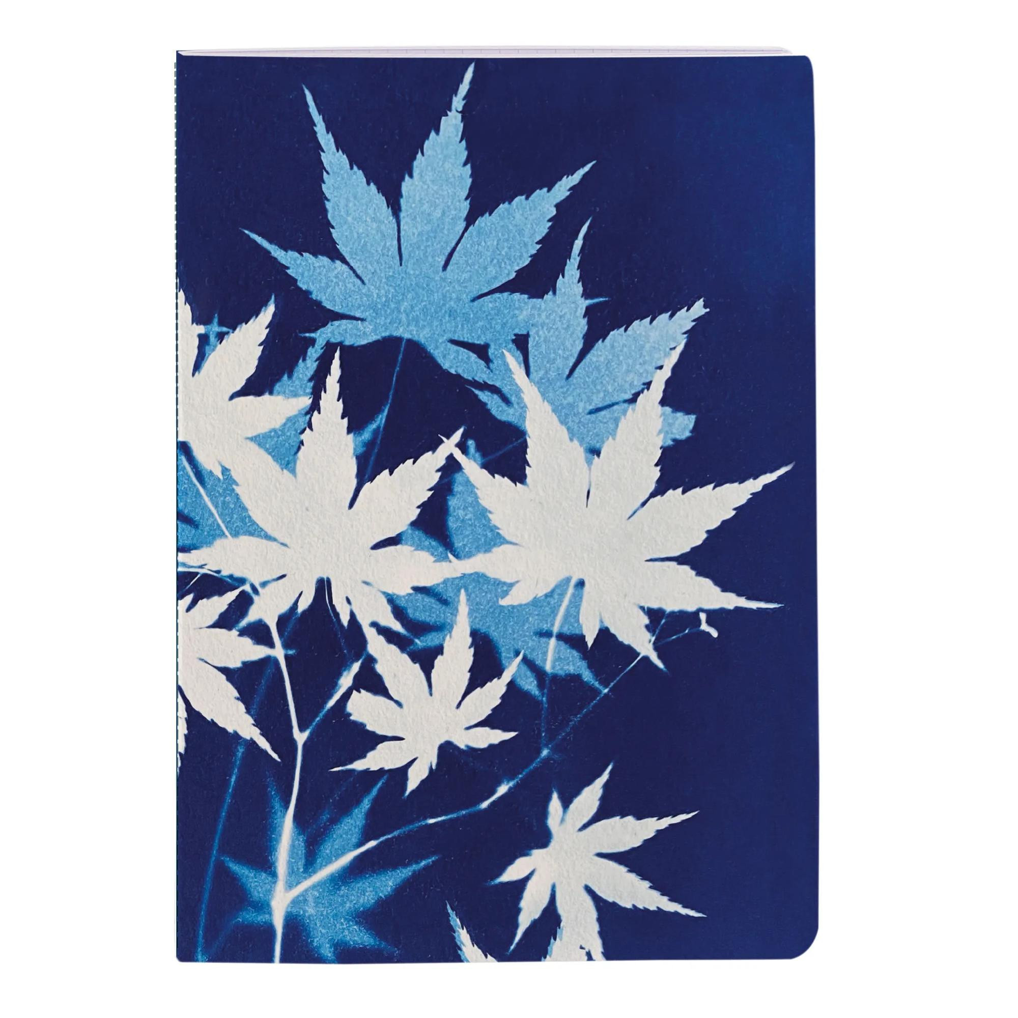 Sešit Cyanotype