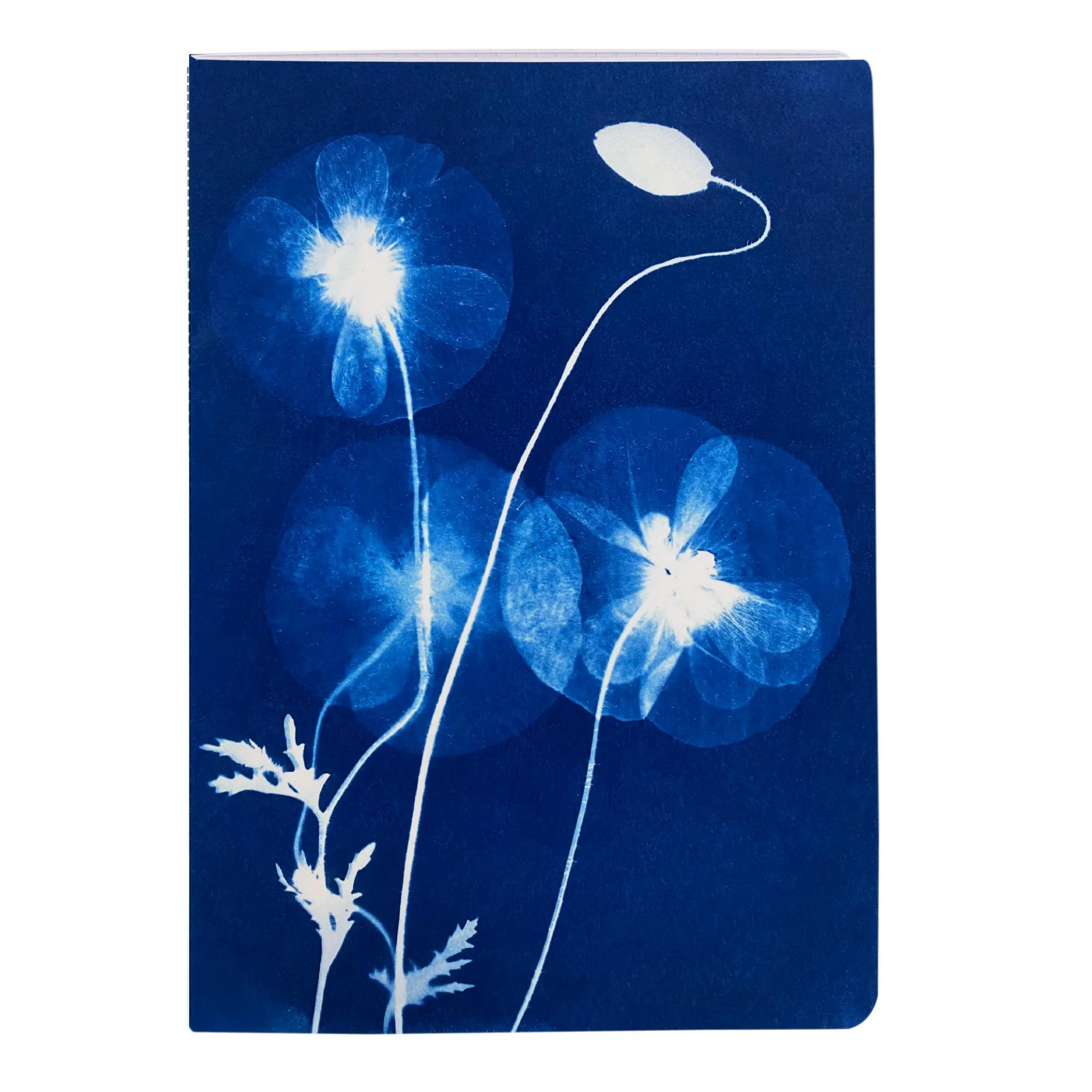 Sešit Cyanotype